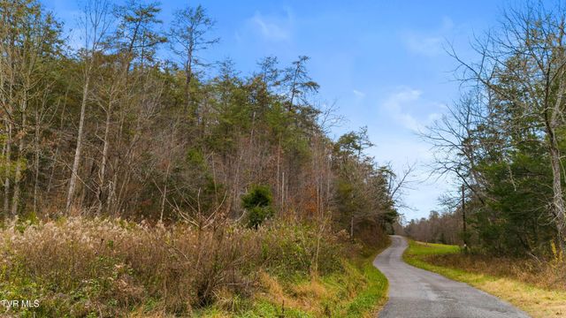 661 E Pumpkin Valley Rd, Eidson, TN 37731