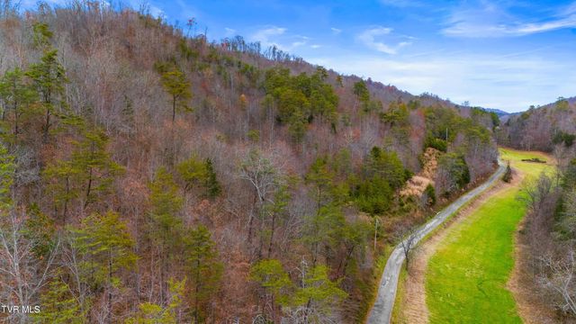 661 E Pumpkin Valley Rd, Eidson, TN 37731