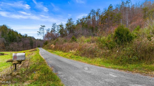 661 E Pumpkin Valley Rd, Eidson, TN 37731