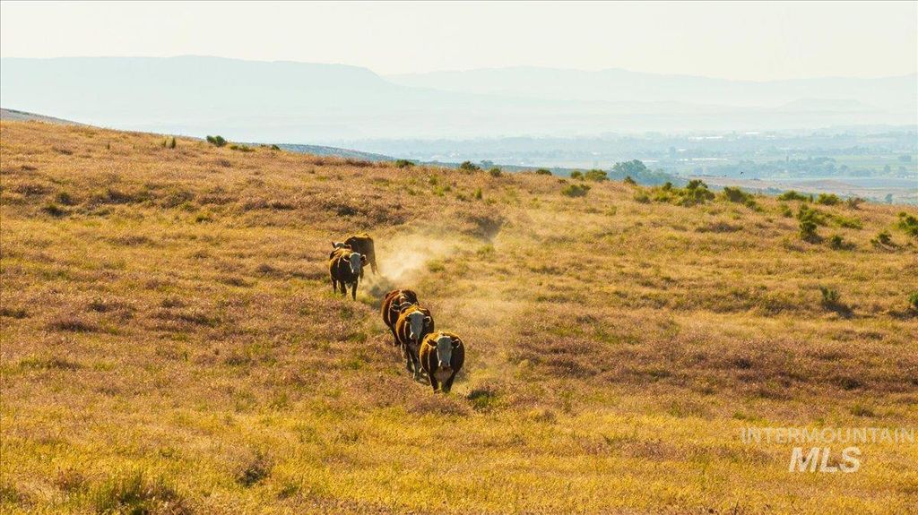 1270 Hillcrest Dr., Vale, OR 97918 photo 22