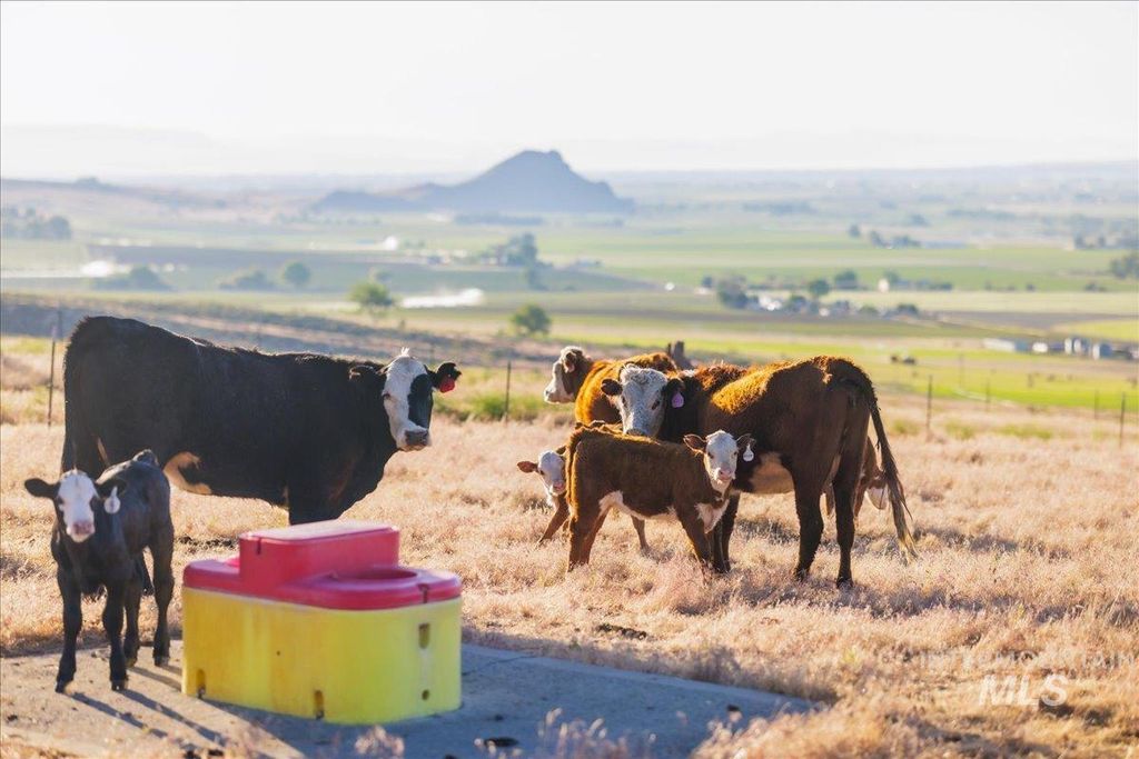 1270 Hillcrest Dr., Vale, OR 97918 photo 23