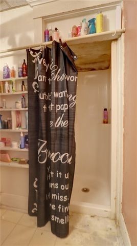 53 Lewis Street, Geneva City, NY 14456