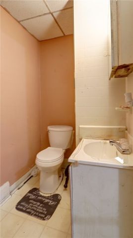 53 Lewis Street, Geneva City, NY 14456