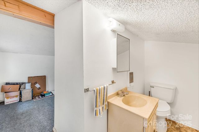 226 Fish Pond Lane, Burnsville, NC 28714