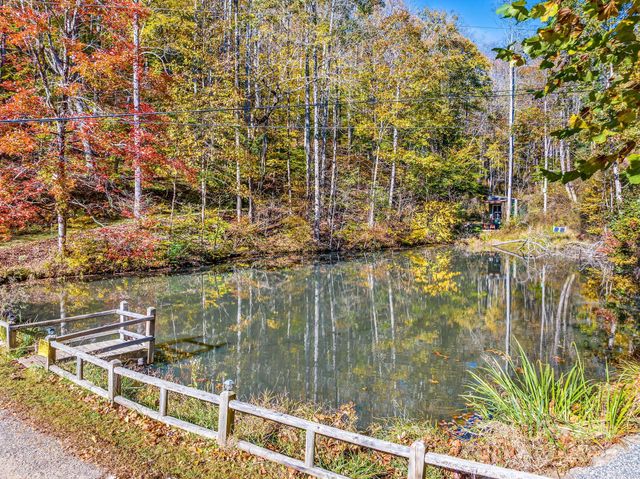 226 Fish Pond Lane, Burnsville, NC 28714