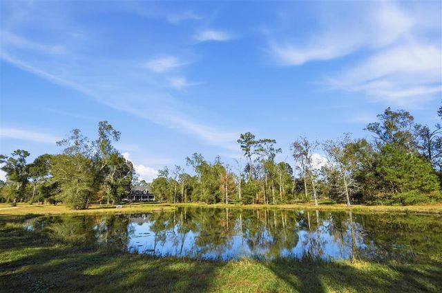 17276 Ardoin Cove, Welsh, LA 70591