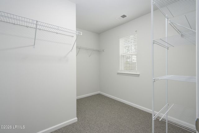 77 Cedar View Circle, Bluffton, SC 29909