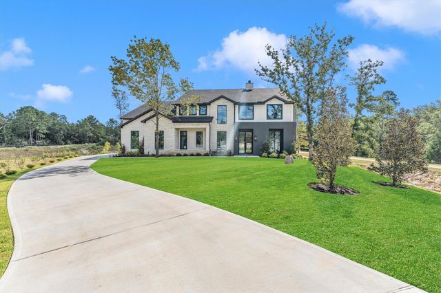 23701 Birch Grove Road, Montgomery, TX 77316