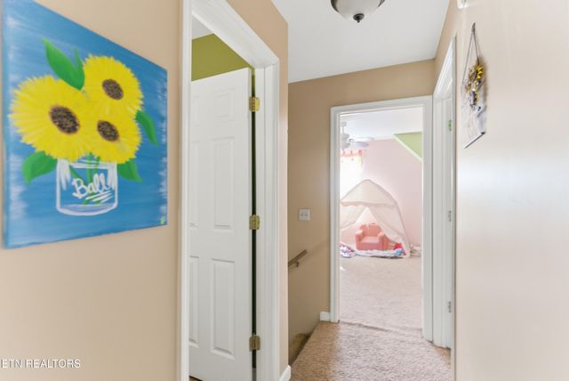 1417 Wilson Rd, Knoxville, TN 37912