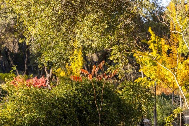 14446 Perimeter Rd, Grass Valley, CA 95949