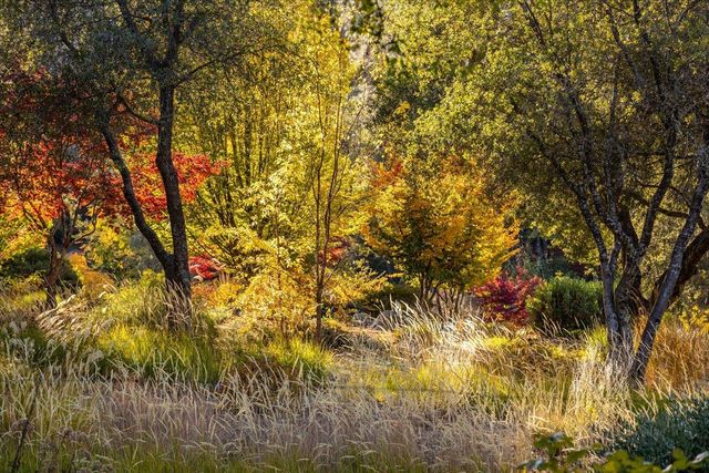 14446 Perimeter Rd, Grass Valley, CA 95949