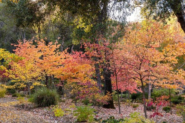 14446 Perimeter Rd, Grass Valley, CA 95949