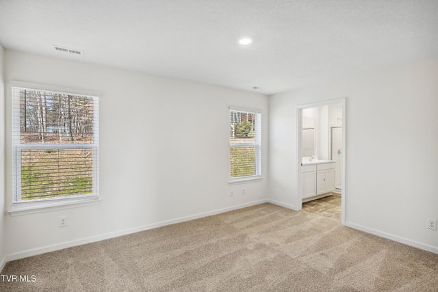 269 Wisteria Drive, Bluff City, TN 37618