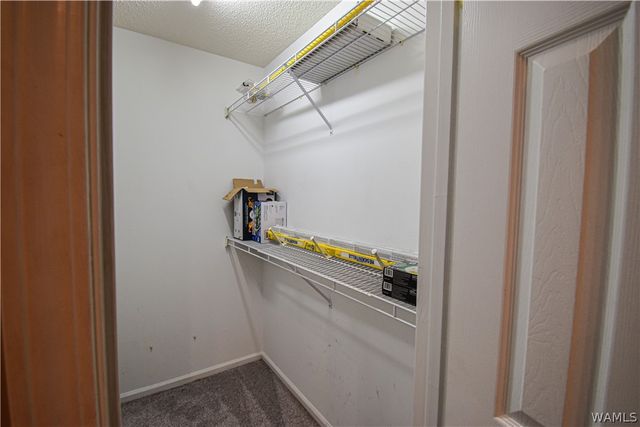 4511 Bass, Tuscaloosa, AL 35405