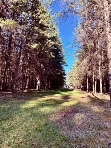 2640 18th Street NW, Baudette, MN 56623