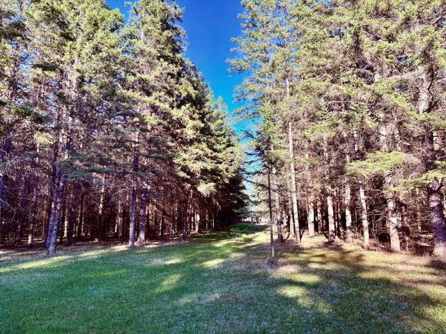 2640 18th Street NW, Baudette, MN 56623