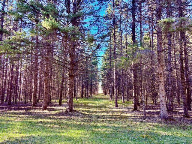 2640 18th Street NW, Baudette, MN 56623
