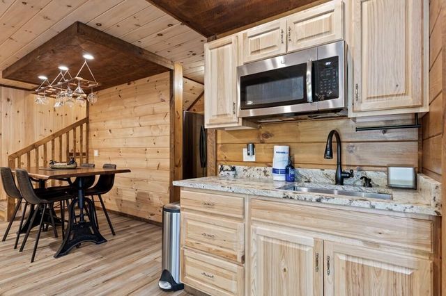 91 River Road, Cherry Log, GA 30522