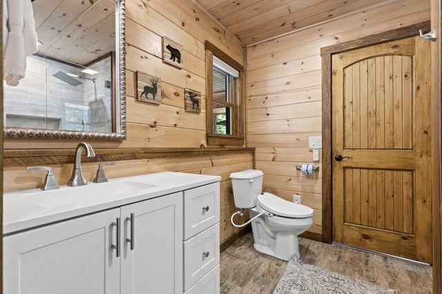 91 River Road, Cherry Log, GA 30522