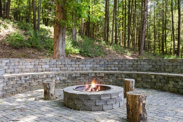 91 River Road, Cherry Log, GA 30522