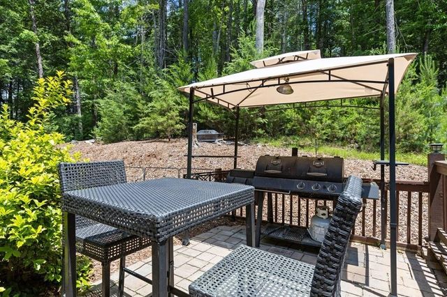 91 River Road, Cherry Log, GA 30522