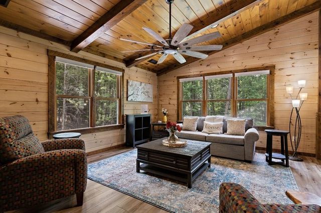 91 River Road, Cherry Log, GA 30522
