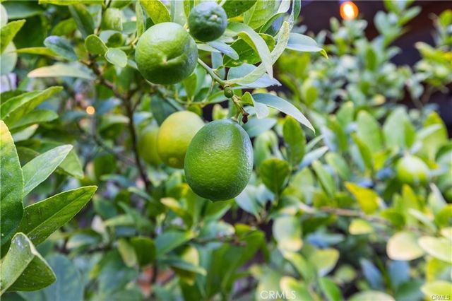 28537 Vista Del Rio, Valencia, CA 91354