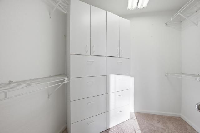 1465 Genoa Drive, Vista, CA 92081