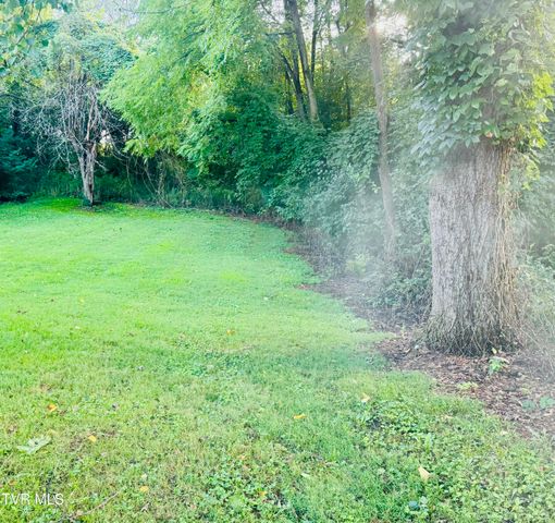 213 Campbell Street, Abingdon, VA 24210