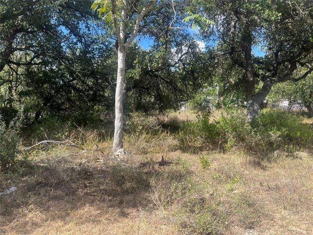 542 Flintstone DR, Canyon Lake, TX 78133