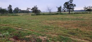 TBD County Road 1900, Yantis, TX 75497