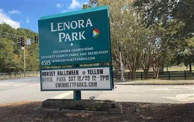 3729 Ivy Cottage Drive, Snellville, GA 30039