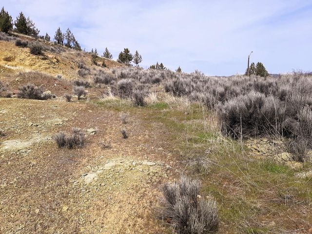 NE Bobbi Court, Prineville, OR 97754