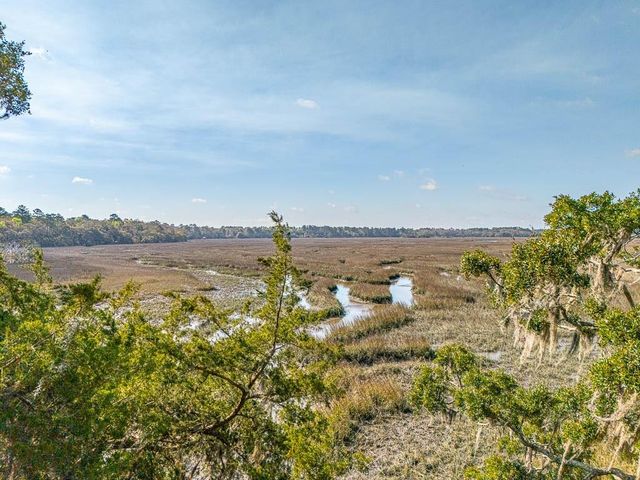 1368 NE Woodstork Way, Townsend, GA 31331