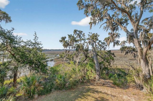 1368 NE Woodstork Way, Townsend, GA 31331