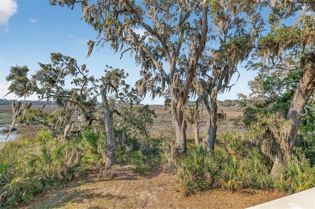 1368 NE Woodstork Way, Townsend, GA 31331