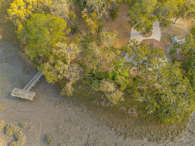 1368 NE Woodstork Way, Townsend, GA 31331