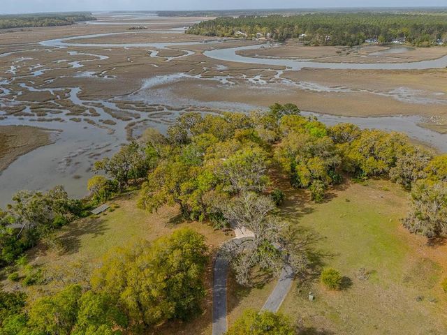 1368 NE Woodstork Way, Townsend, GA 31331