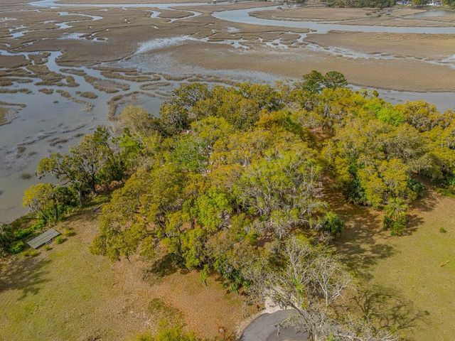 1368 NE Woodstork Way, Townsend, GA 31331