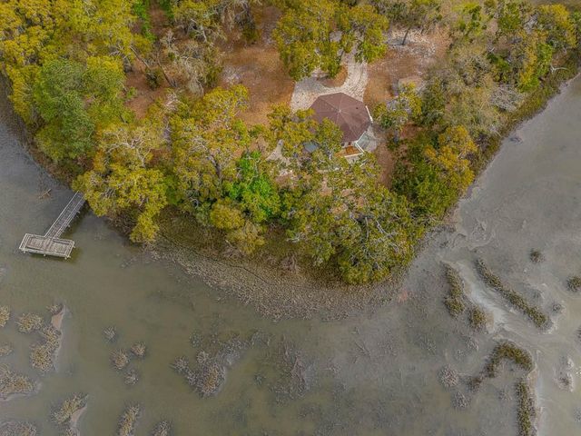 1368 NE Woodstork Way, Townsend, GA 31331