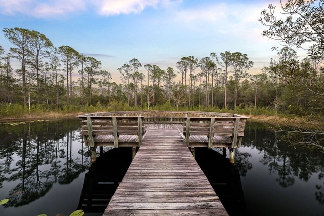 20 Pine Lily Circle, Santa Rosa Beach, FL 32459