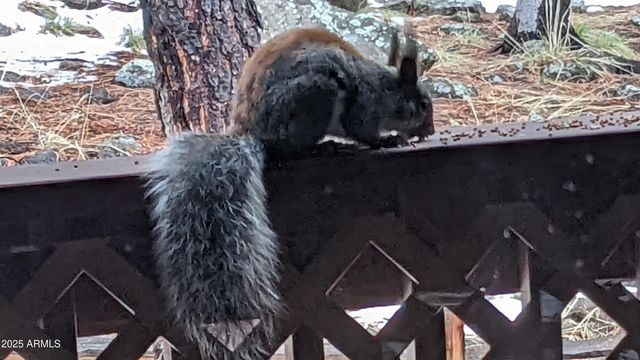 2358 E Rainbow Lane, Pinetop, AZ 85935