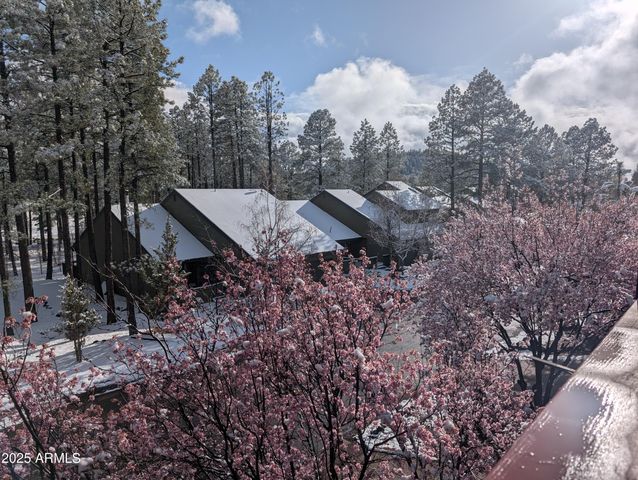 2358 E Rainbow Lane, Pinetop, AZ 85935