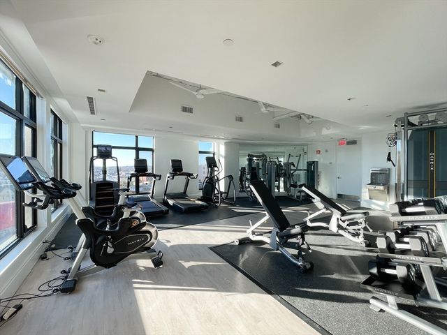 191 Washington St 301, Boston, MA 02135