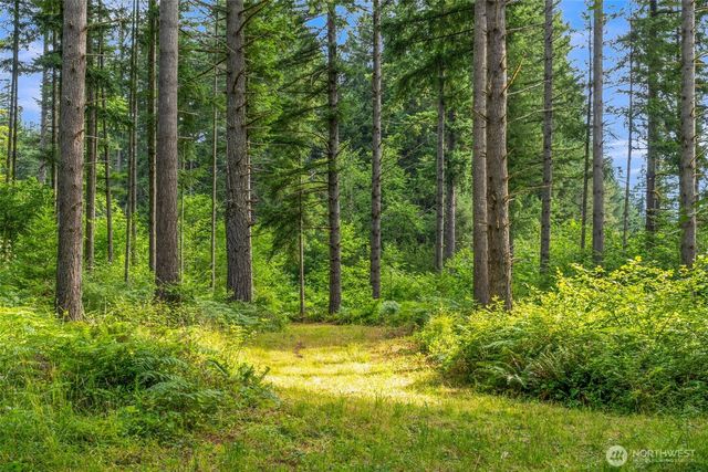 3832 NE Cavitt Road, Camas, WA 98607