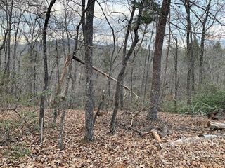 301 Otter Lane 301, Lake Lure, NC 28746