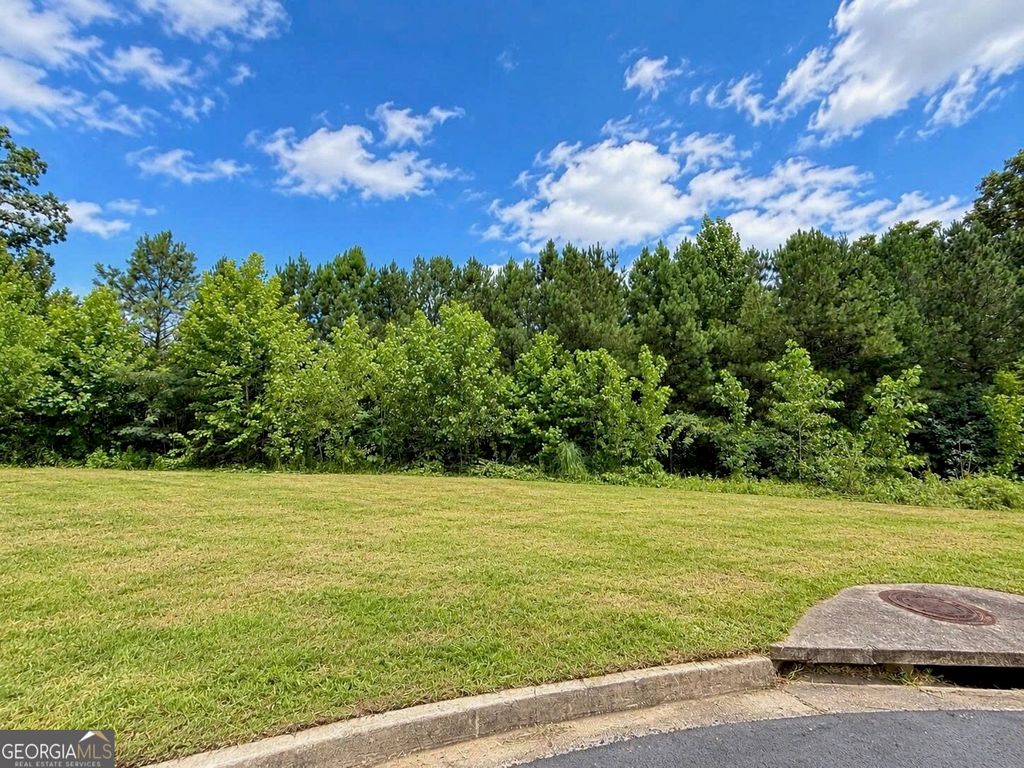 3082 Madison Run Cove, Snellville, GA 30039 — photo 2