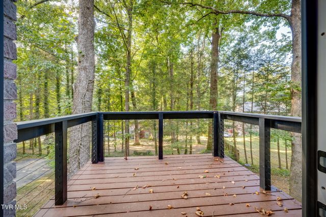 1108 Skyline Drive, Johnson City, TN 37604