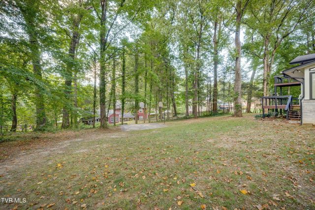 1108 Skyline Drive, Johnson City, TN 37604