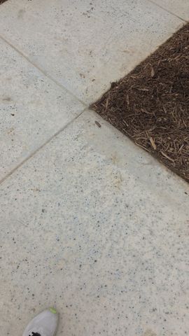 916 LOST MINE Trail, Little Elm, TX 75068